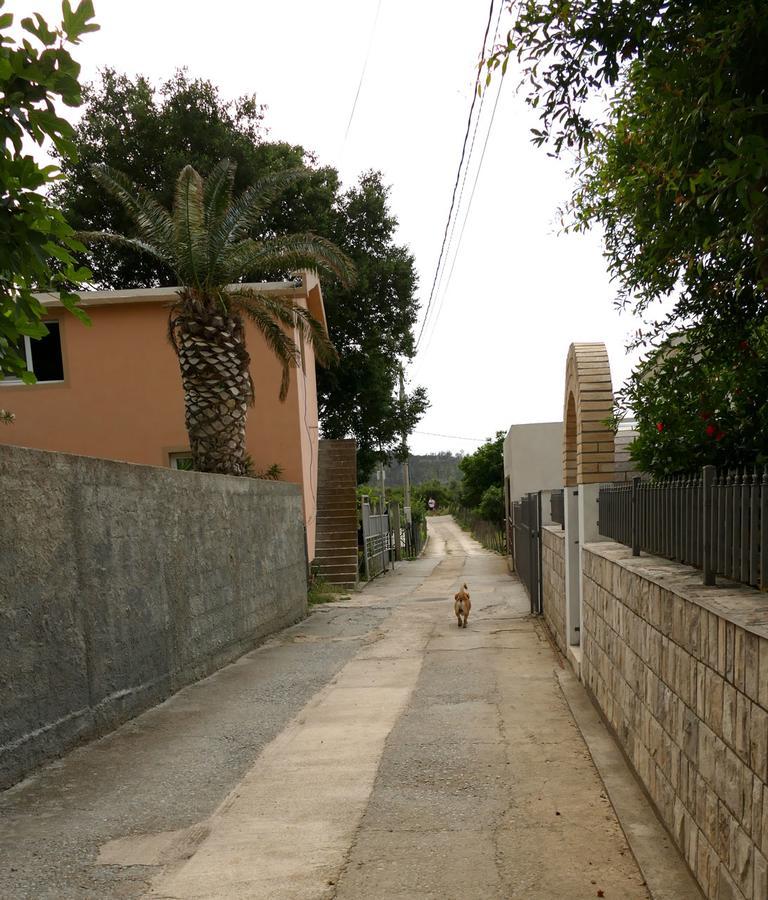 Apartmani Scepanovic Sutomore Εξωτερικό φωτογραφία